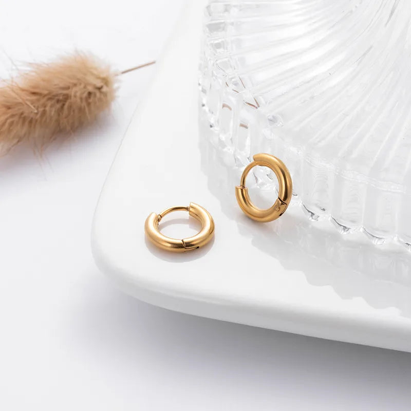Minimalist Gold on Stainless Steel Hoop Earrings