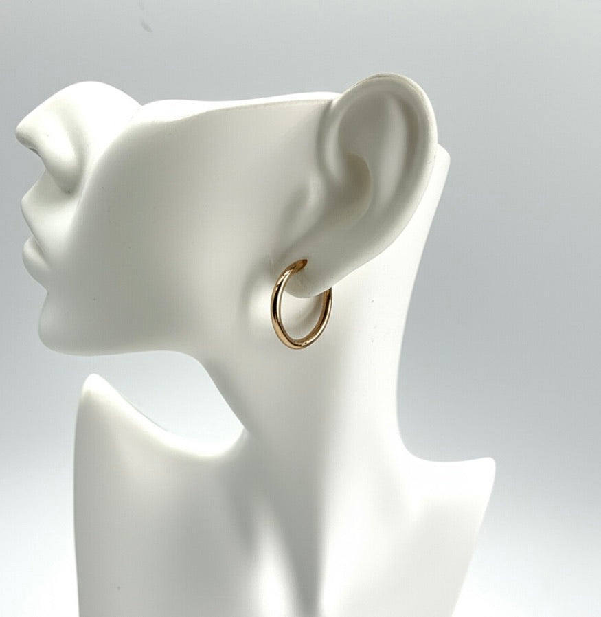 Rose Gold Stainless Steel Hoop Earrings- Large