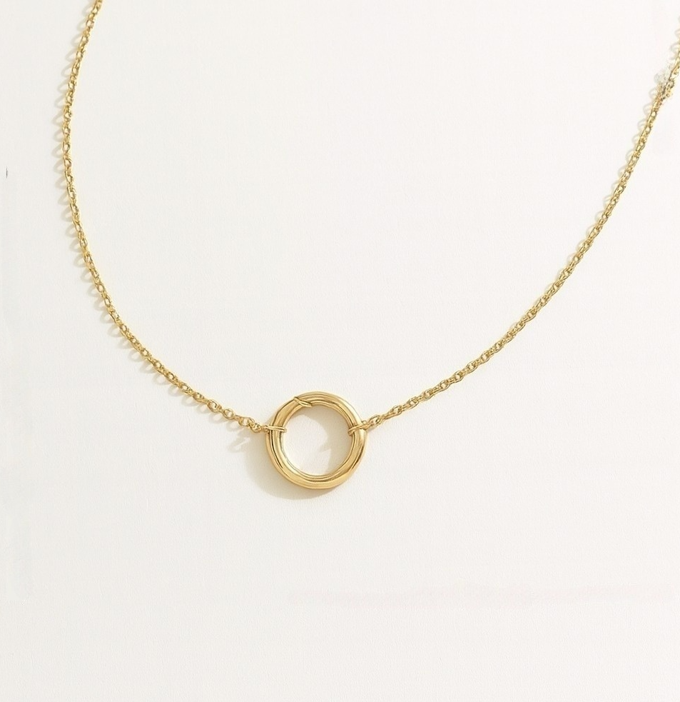 Stainless Steel Chain with Spring Clasp Necklace
