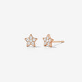 Rose gold star-shaped earrings with clear gemstones on a white background